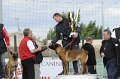 Remise des Prix 209